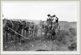Arturo travelling by horse and carriage from Guadalajara
